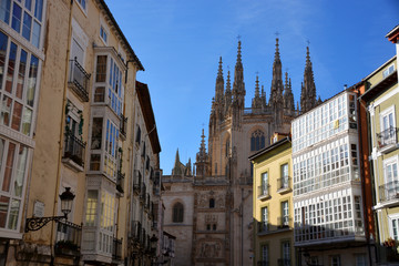 Fototapeta premium catedral de burgos entre las casas tipicas del centro de burgos