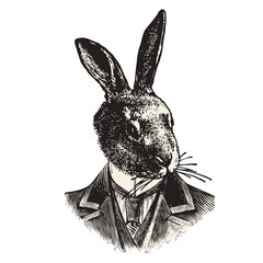 Monsieur Lapin © lynea