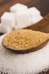 Difrent kind of sugar