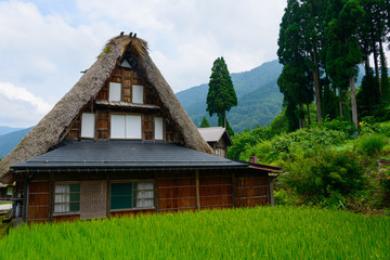 Fototapeta na wymiar Historic Village of Gokayama in summer, Ainokura Gassho-zukuri v
