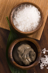 Dead Sea mud and salt in a bowl