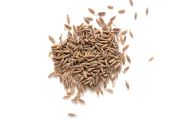 Cumin seeds