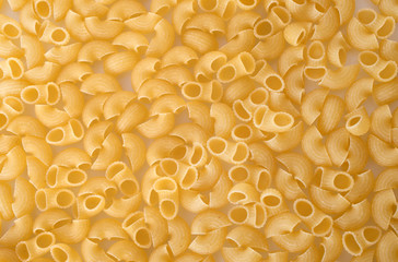 pasta shells