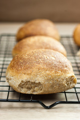 Whole Wheat Rolls