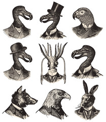 Collection animals © lynea