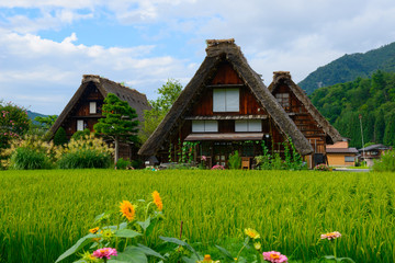 Historic Village of Shirakawa-go in summer