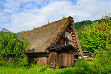 Fototapeta na wymiar Historic Village of Shirakawa-go in summer