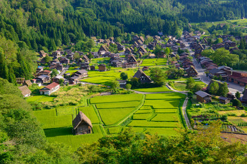 Historic Village of Shirakawa-go in summer © Hirotaka Ihara