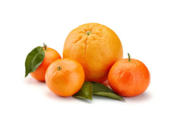 mandarines on white background