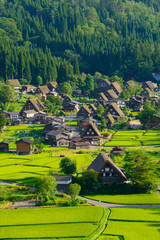 Historic Village of Shirakawa-go in summer