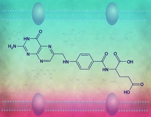 Folic acid molecular structure