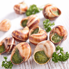 french gastronomie,escargot