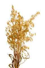 Haferrispen