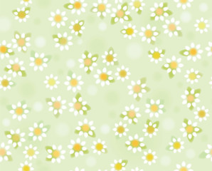Vector chamomiles seamless pattern , soft, blurred effect.