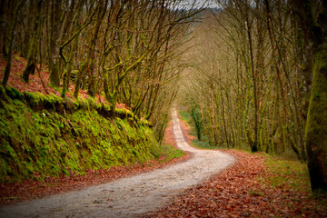sendero