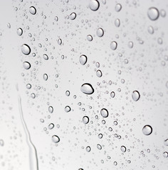 Drops of rain on the inclined window (glass).