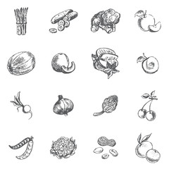 Vegetables, berries and fruits