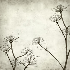 textured old paper background