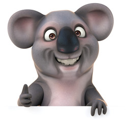 Fun koala © Julien Tromeur