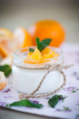  yogurt with mandarin oranges
