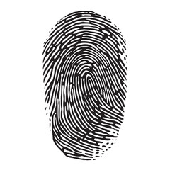 Fingerprint on white background