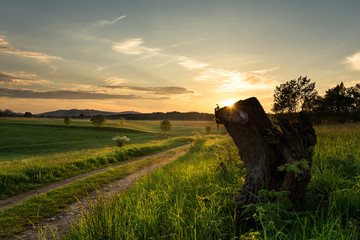 Sonnenuntergang auf der Wiese