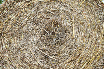 Straw roll