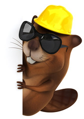 Fun beaver © Julien Tromeur