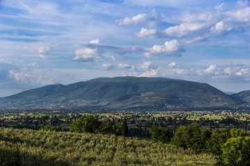 Naklejka premium Colline Italia centrale