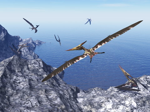 Pteranodon birds - 3D render