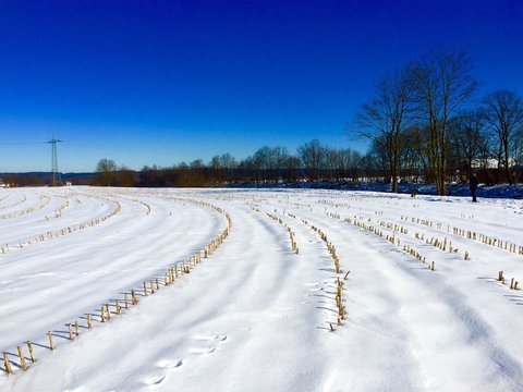 Winterspaziergang am Stoppelfeld