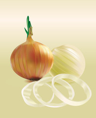 Onions and chopped onion rings