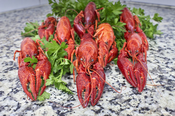 Eight lobsters on green parsley