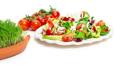 Salatteller, Strauchtomaten, Kresseigel