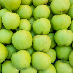 Green Apple Background