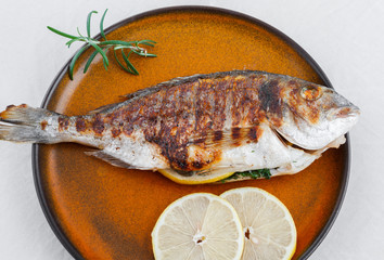 Grilled fish