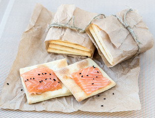 Cracker with a salmon