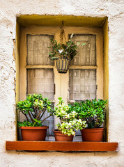 Fototapeta na wymiar old window and flowers