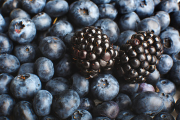 Freshly picked blueberries and blackberries close-up