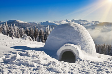 igloo on the snow