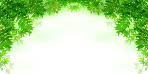 葉　新緑　背景