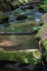 I canyon delle cascate
