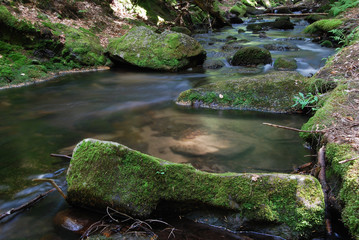 I canyon delle cascate