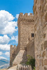Fototapeta premium Tower of the castle