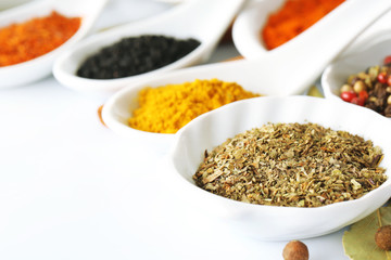 Different kinds of spices in ceramics bowls isolated on white