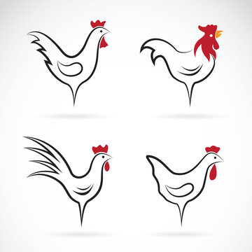 Vector image of an chicken design on white background