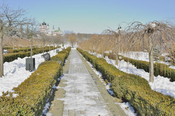 Красивая аллея в зимнем парке