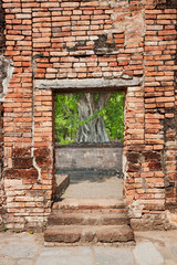 see through the door of a ruin to the green tree
