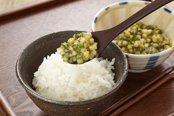 山形のだし