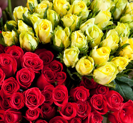 red and yellow roses, background and texture